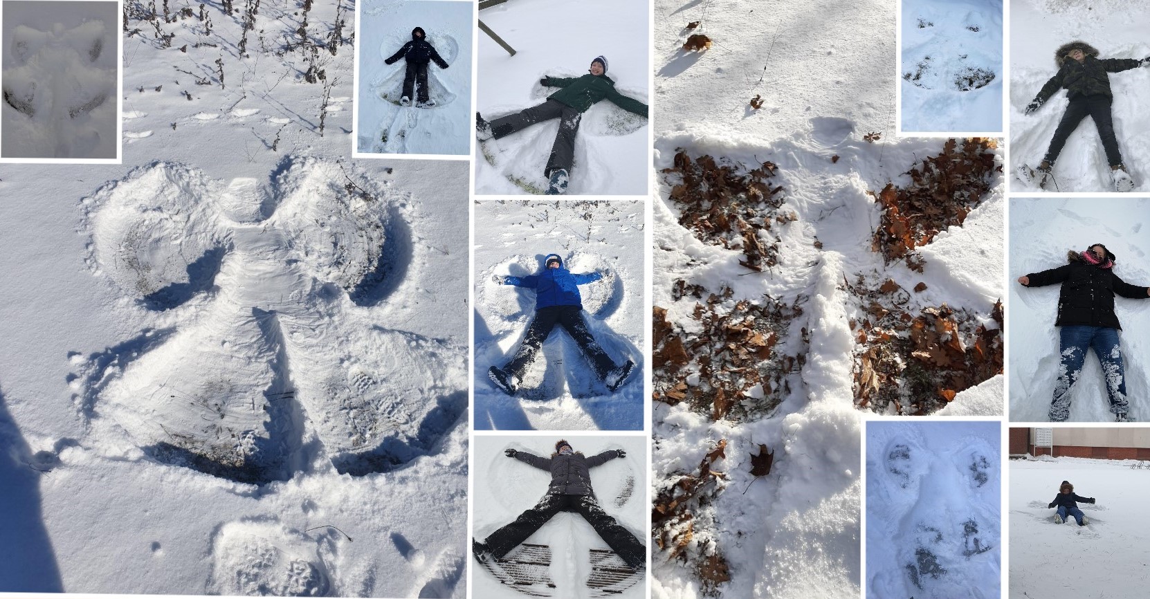 Collage 2021 02 22 09 56 10