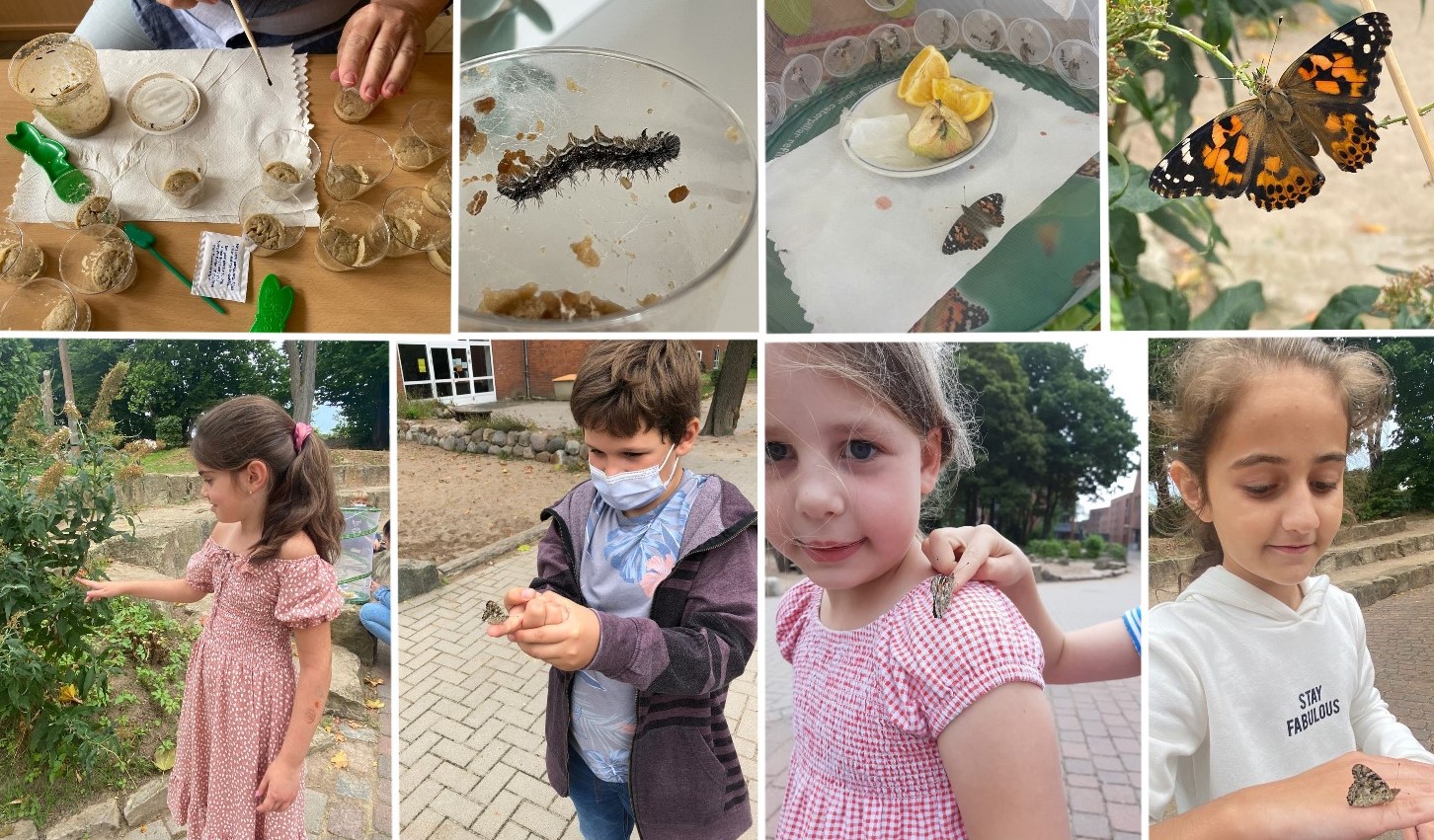 Collage 2021 09 11 22 20 27