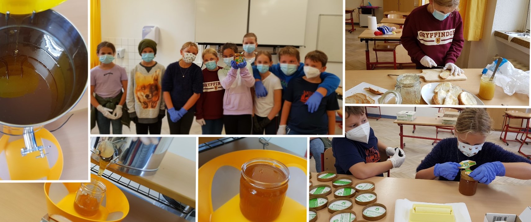 Collage 2021 09 17 13 41 16