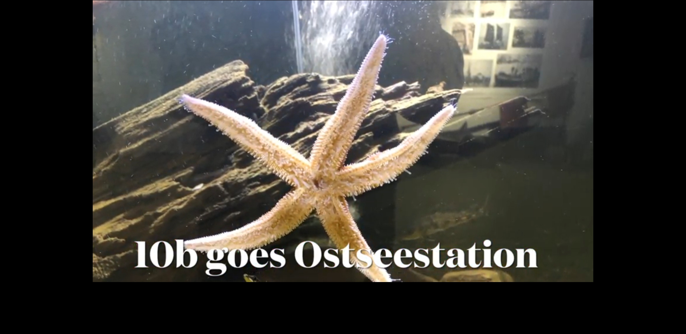 Screenshot 20211221 231143 WhatsApp