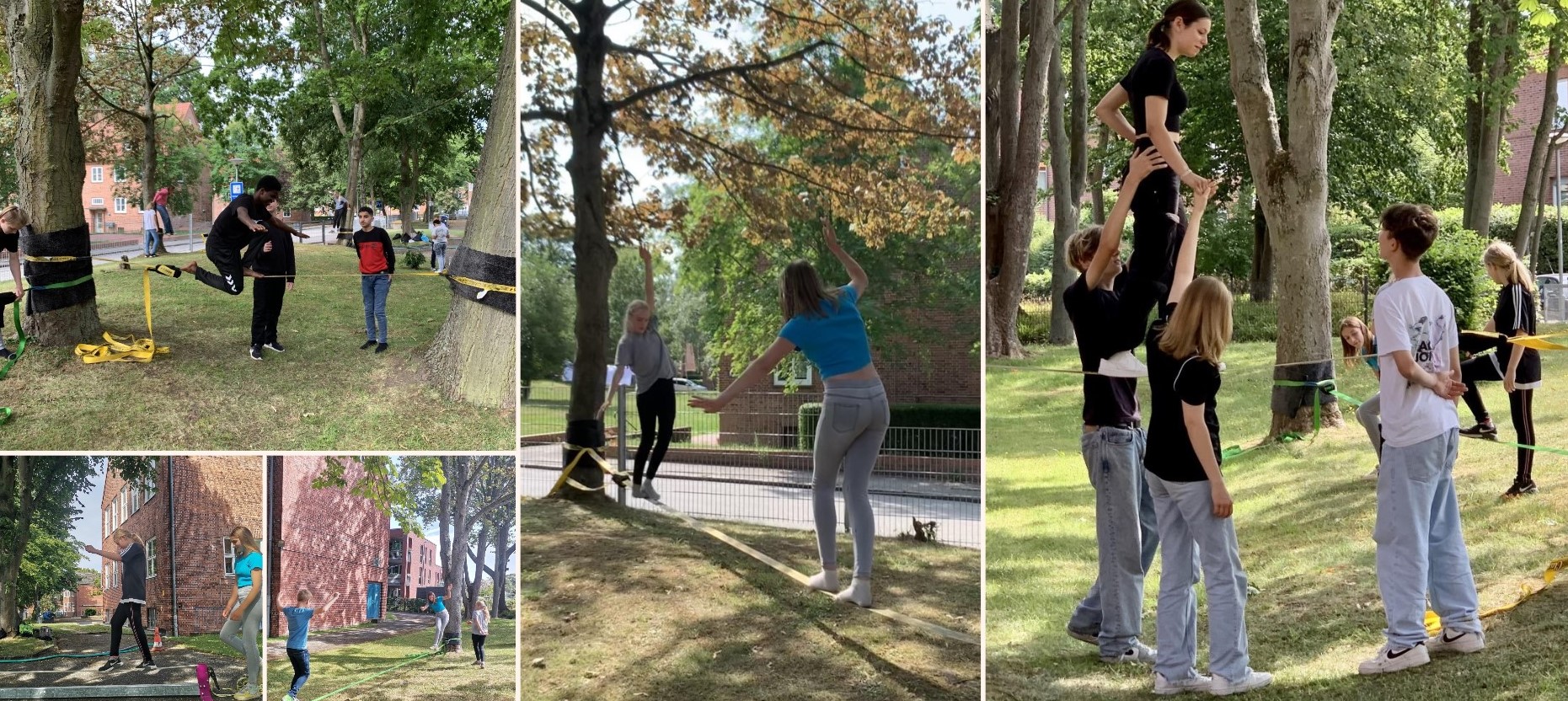 Collage 2023 08 07 08 12 38