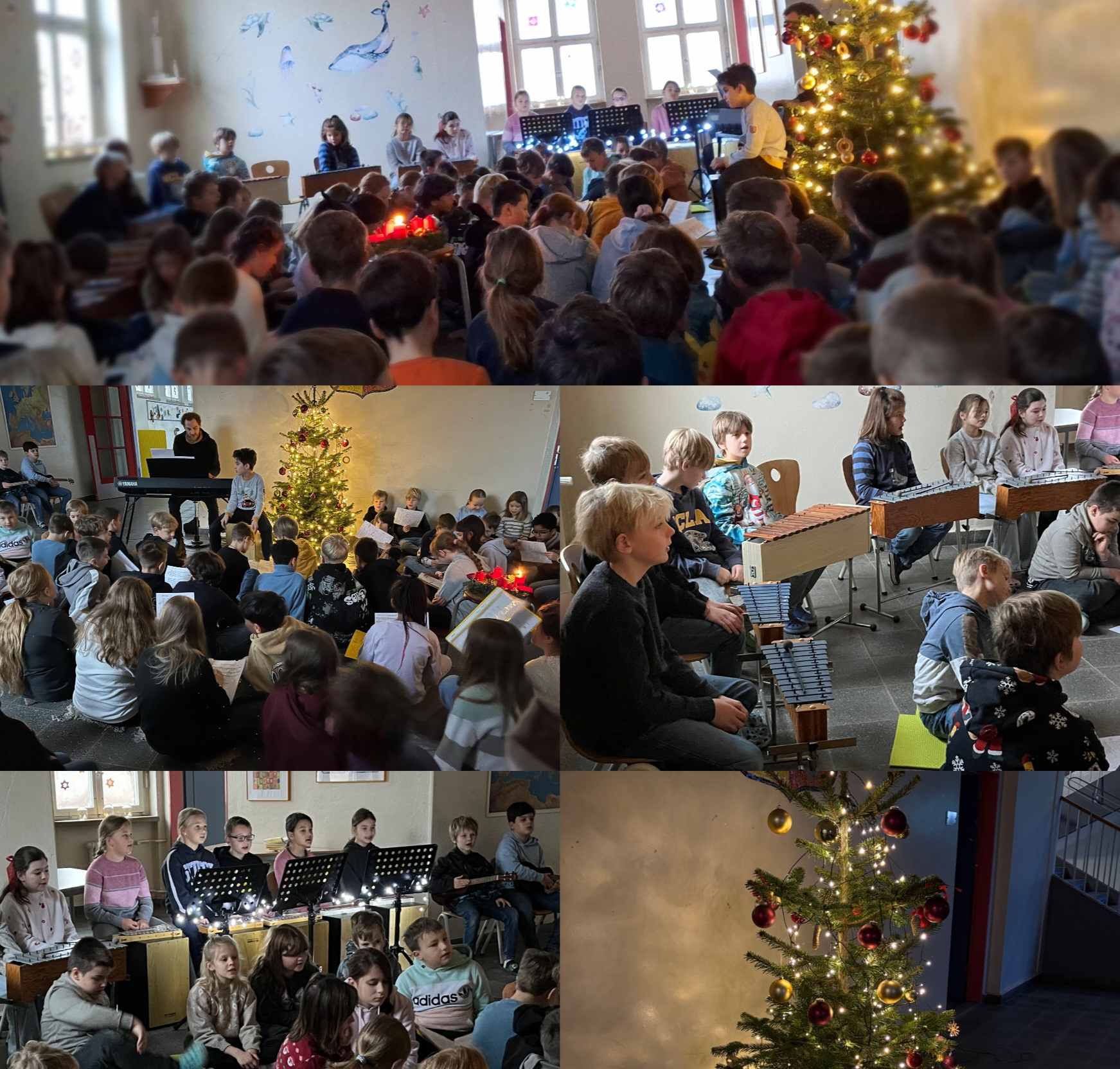 Collage 2025 12 02 19 38 47