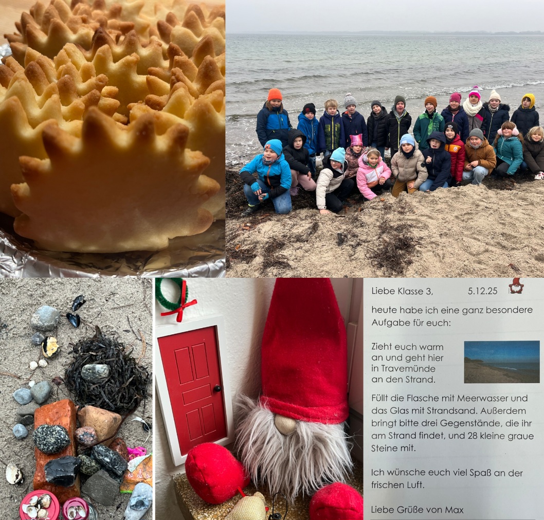 Collage 2025 12 06 19 53 15