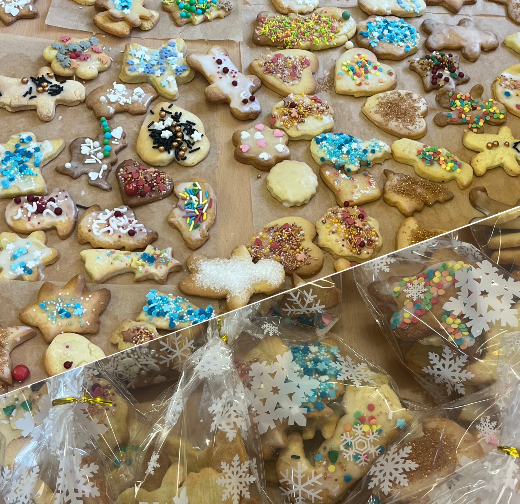 Collage 2025 12 28 18 44 54